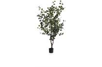 Coco Maison COCO MAISON  Eucalyptus Tree kunstplant H180cm